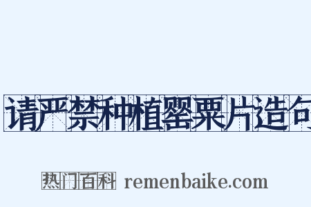 请严禁种植罂粟片造句是什么意思的图片
